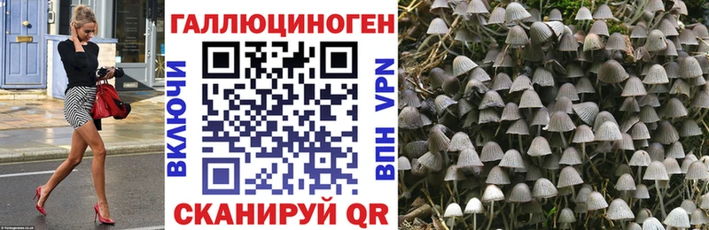 hydra сайт  Ессентукская  Галлюциногенные грибы ЛСД  закладка 