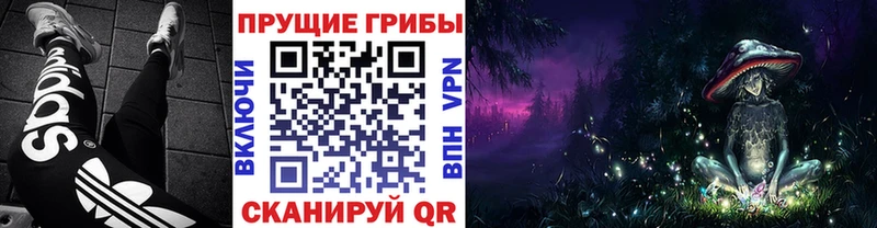 Галлюциногенные грибы Psilocybine cubensis Ессентукская